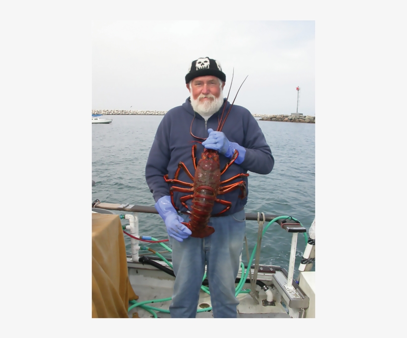 Kenny Nielsen [8 Images] Click Any Image To Expand - American Lobster, transparent png