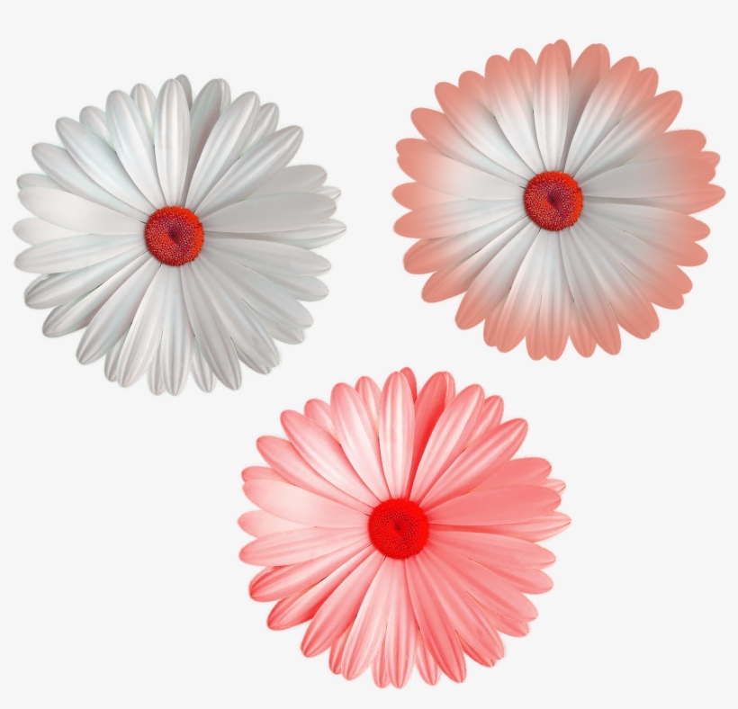Cool Flower Png File White Color Mix Colors Flowers - Cream Cheese, transparent png