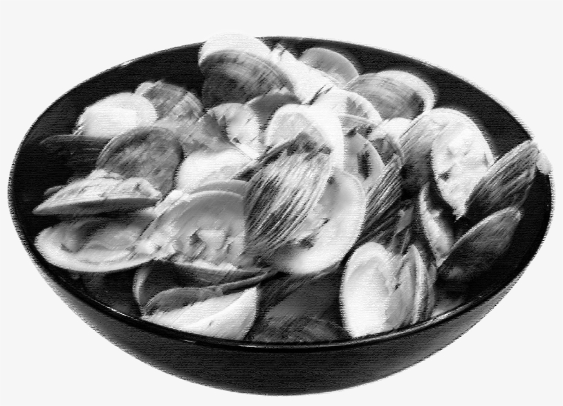 Clams - Monochrome, transparent png