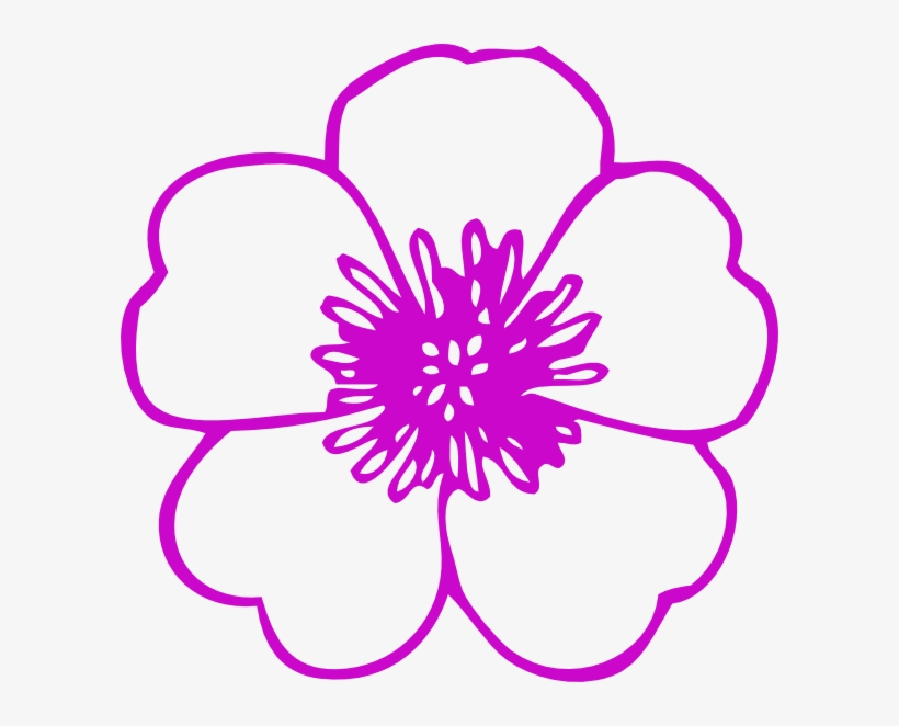 Coloring Picture Of Flower, transparent png