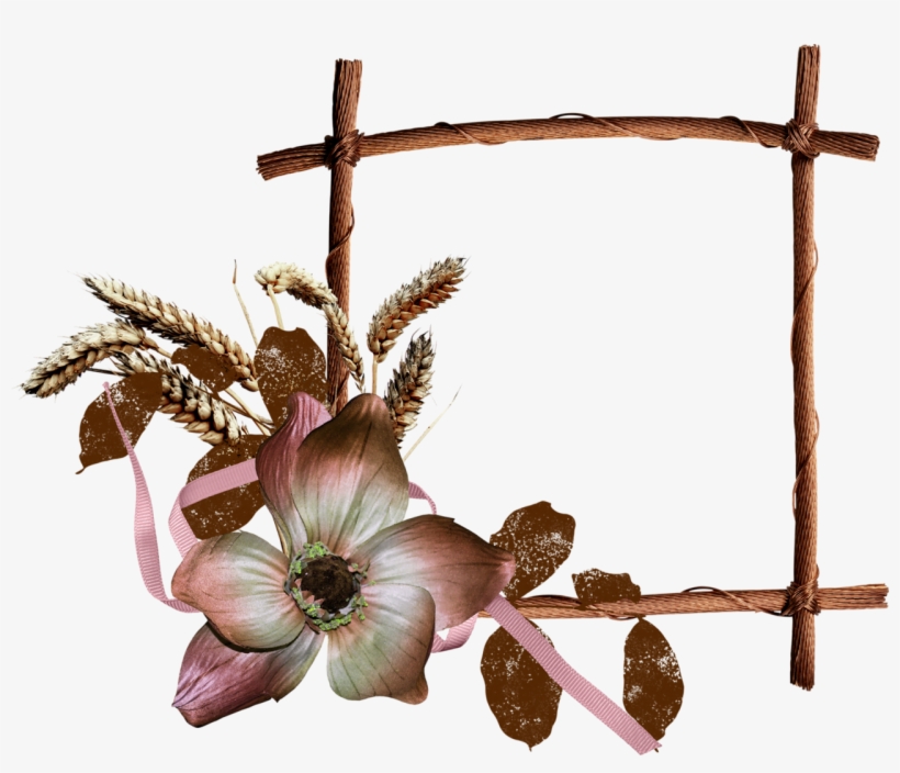 B *✿*strawberry Chocolate - Documents In World History: The Great Traditions -, transparent png