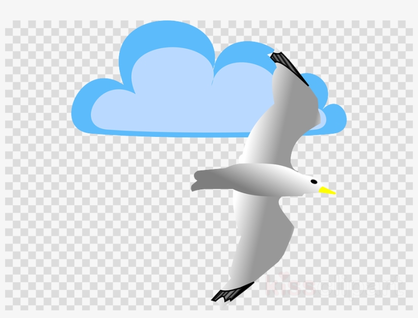 Gaviota Animada Png Clipart Gulls Bird Clip Art - Clip Art, transparent png