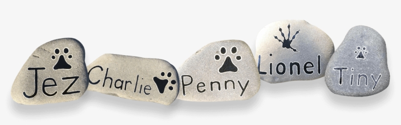 Hawke's Bay, transparent png