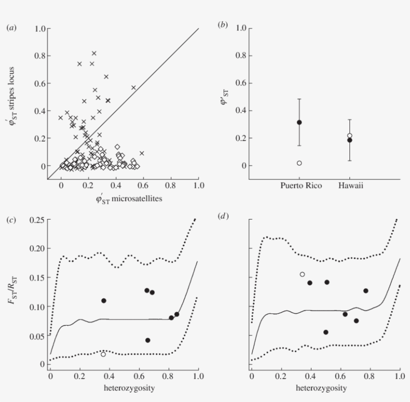 Pairwise W 0 St Between Populations Of E - Diagram, transparent png