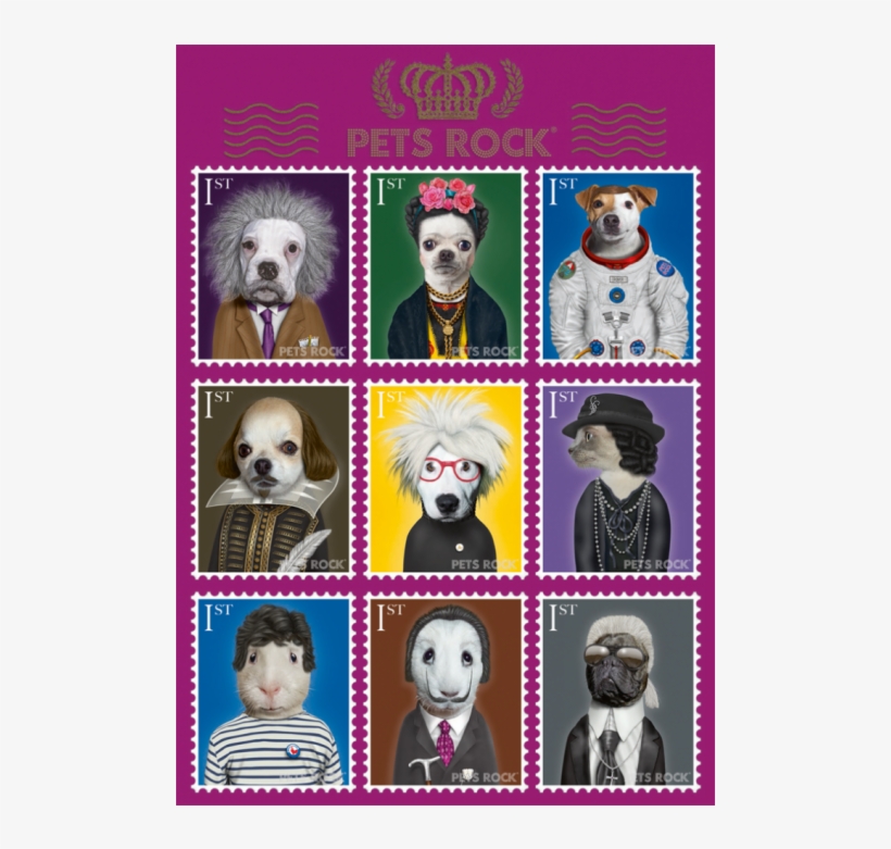 Pusle Pets Rock - Schmidt Pets Rock Arts Premium Jigsaw Puzzle (1000, transparent png