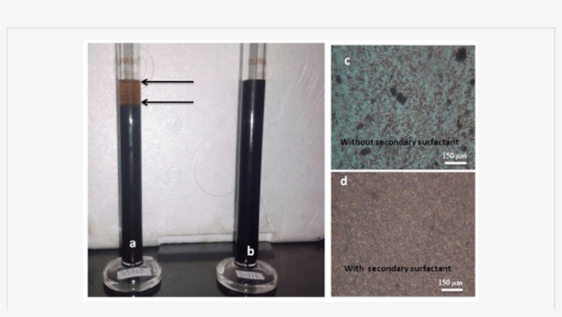 Stability Test Of Magnetic Fluid Filled In Measuring - Surfactant Protein B, transparent png