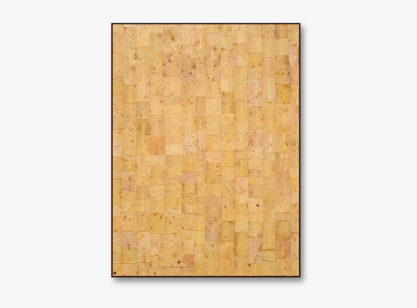 Textured 'painting' Bark No - Plywood, transparent png