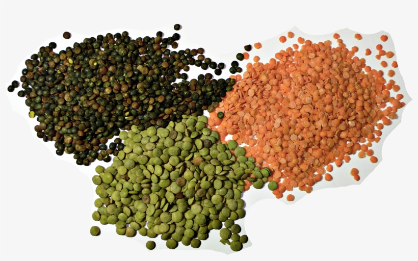 3 Types Of Lentil - Lentil Seeds, transparent png