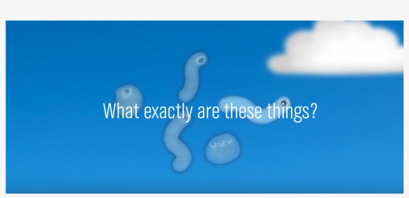 Floaties, transparent png