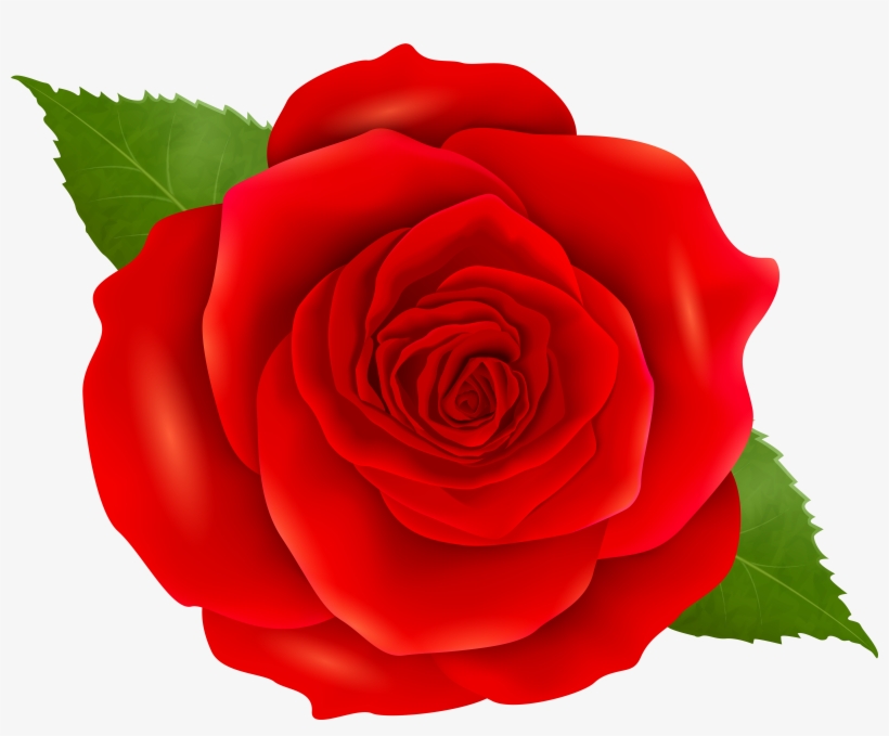 Red Roses Png, transparent png