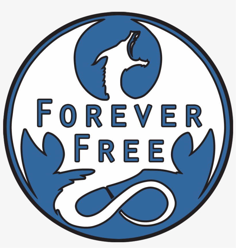 Author Images - Skyrim Forever Free, transparent png