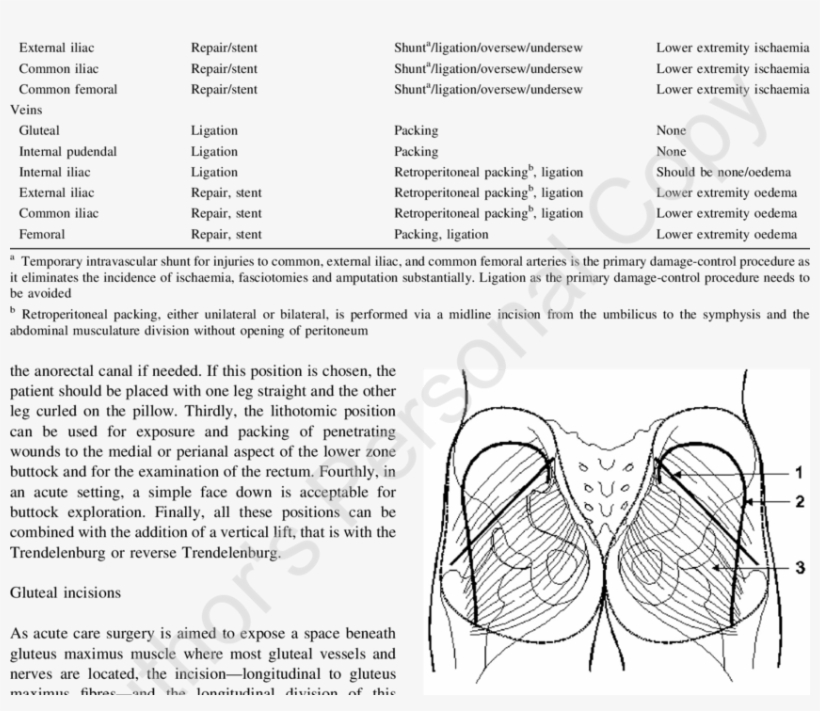 1 Simple Gluteal Incision, 2 Extended Gluteal Incision - Skin Incision Gluteal, transparent png
