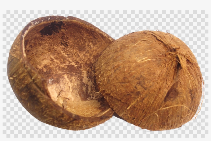 Coconut Shell Clipart Brass Broidered Coconut Shell - Buttons On Off Png, transparent png
