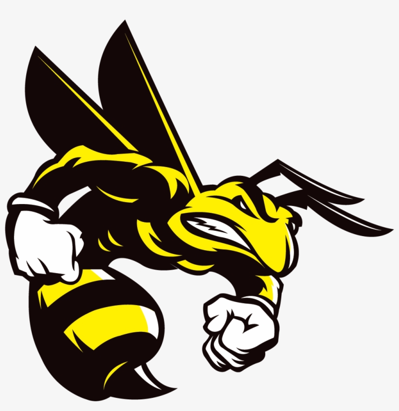 Honey Bee Insect Transprent Png Free - Cornelly United, transparent png