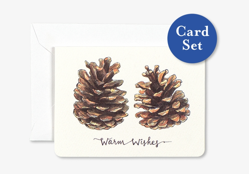 Pinecones Warm Wishes Mini Card Set Of - Pinecone Puns, transparent png