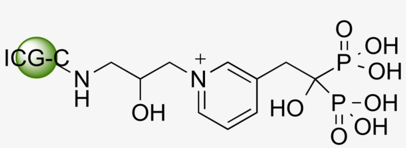 Select Optionsselect Options - P Coumaric Acid Structure, transparent png