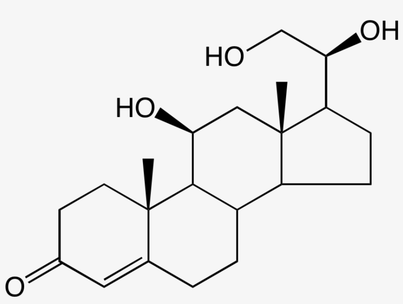 Testosterone Tattoo, transparent png