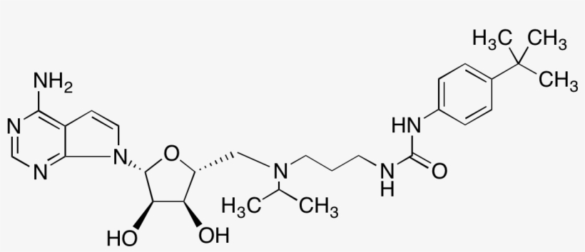 Order Product - Propoxylated Bisphenol, transparent png