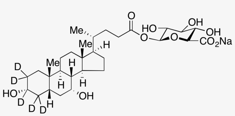 Chenodeoxycholic Acid, transparent png