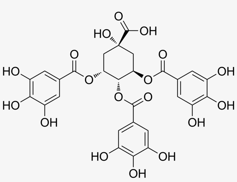 3,4,5 Tri O Galloylquinic Acid - Thyroxine T4, transparent png