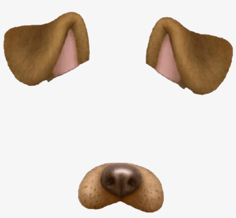 Snapchat Tumblr Overlay Dog Perro Brown Marrón - Snapchat Dog Filter, transparent png