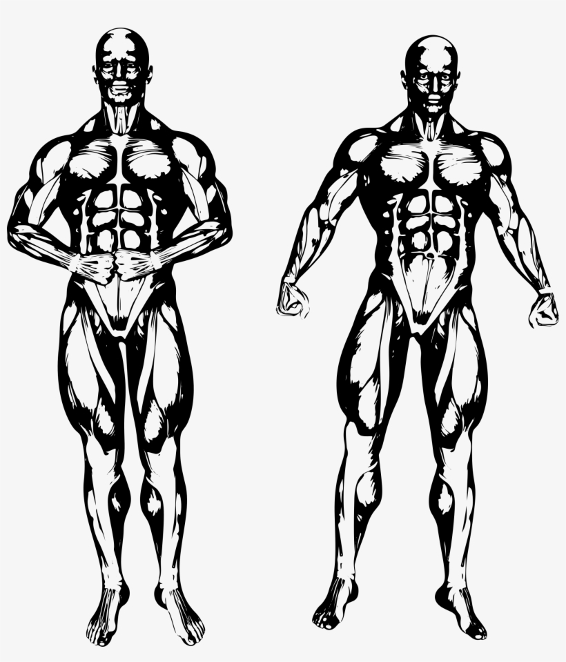 Big Image - Clip Art, transparent png