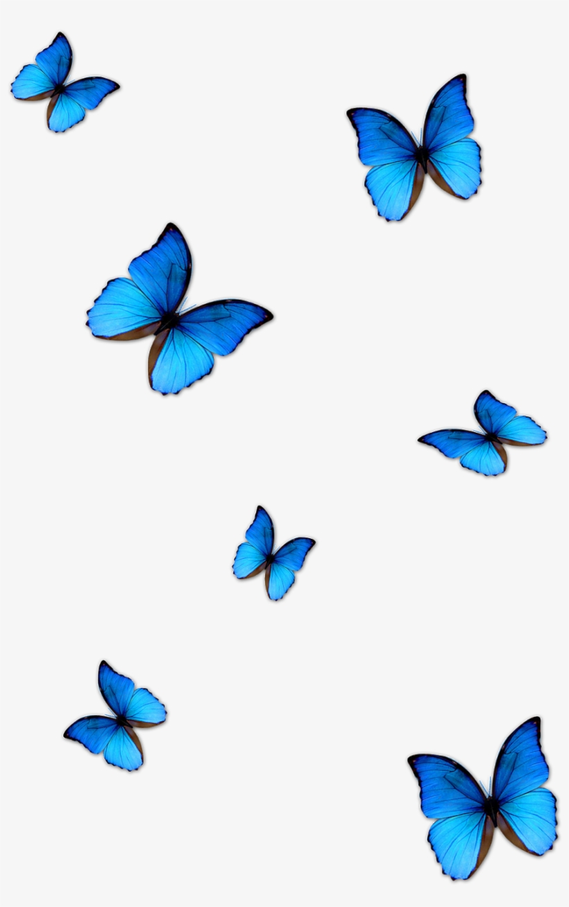 Kisspng Butterfly Blue Phengaris Alcon Blue Butterfly - Butterfly Effect Photo Editing, transparent png