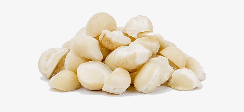 Macadamia Nuts Png Download Image - Macadamia Nuts Png, transparent png