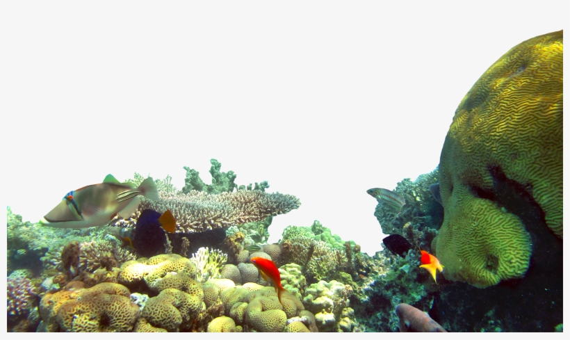 Start The Experience - Underwater, transparent png