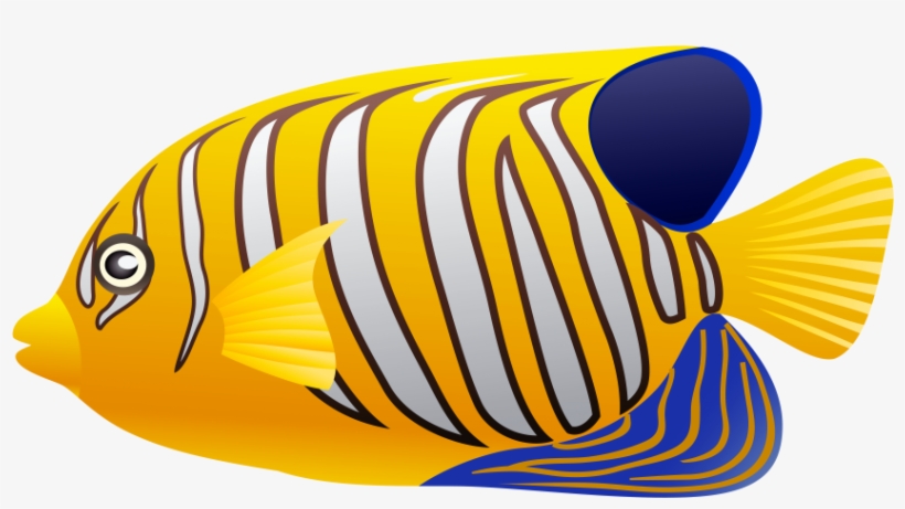 Free Png Yellow Fish Png Images Transparent - Yellow Fish Clip Art, transparent png