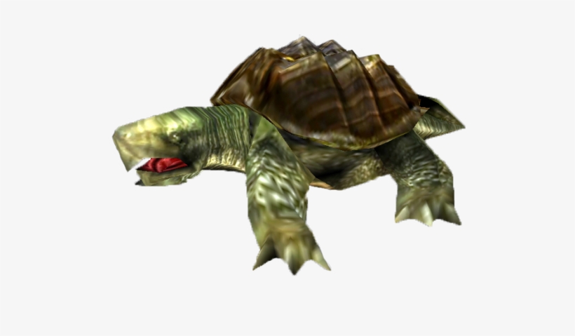 Snapping Turtle Png Transparent Images - Turtle, transparent png