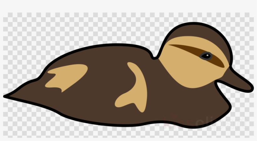 Icon Speech Bubble Transparent, transparent png