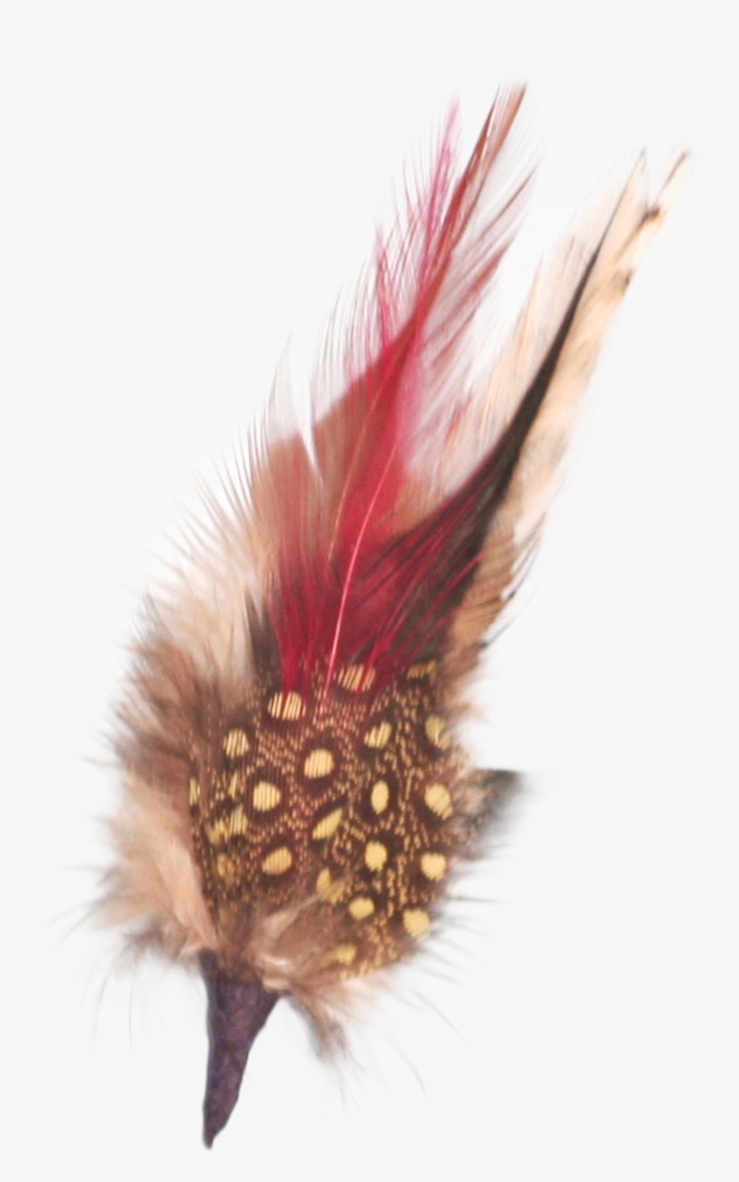 Single German Hat Feather Decor White/brown - German Hat Single Feather Decor White/brown, transparent png