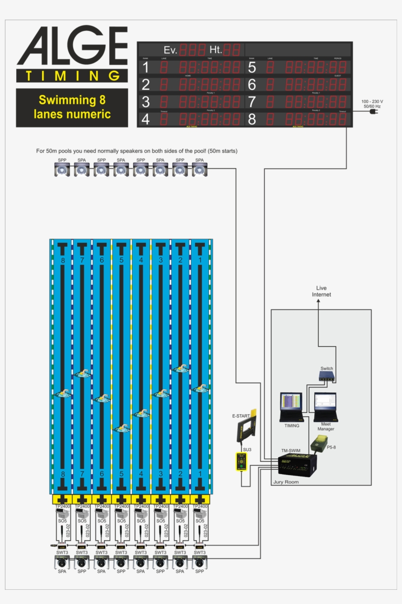Swimming 8 Lanes - Alge Timing, transparent png