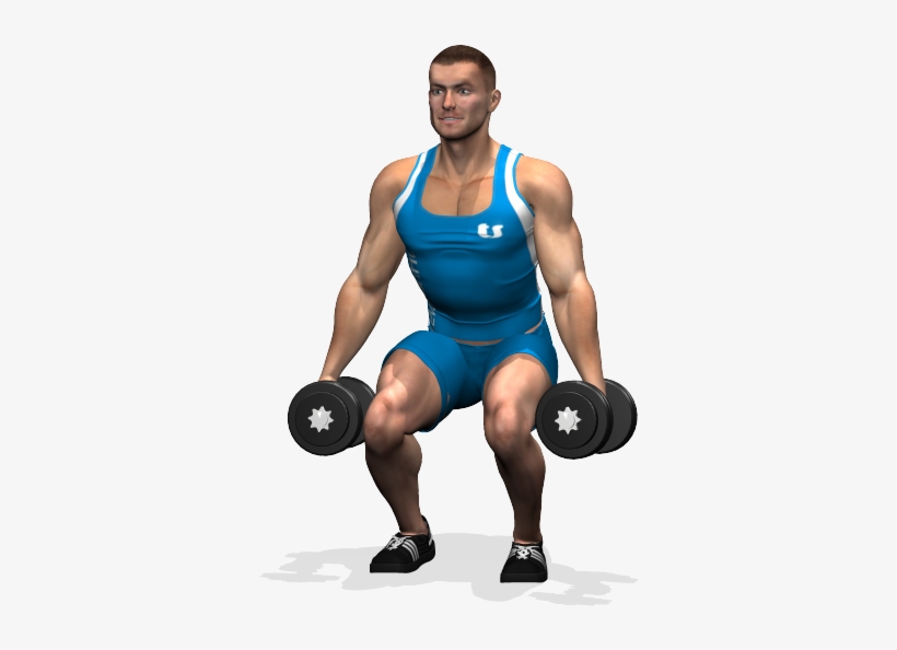 Dumbbell Squat Involved Muscles During The Training - Quadricipiti Manubri, transparent png