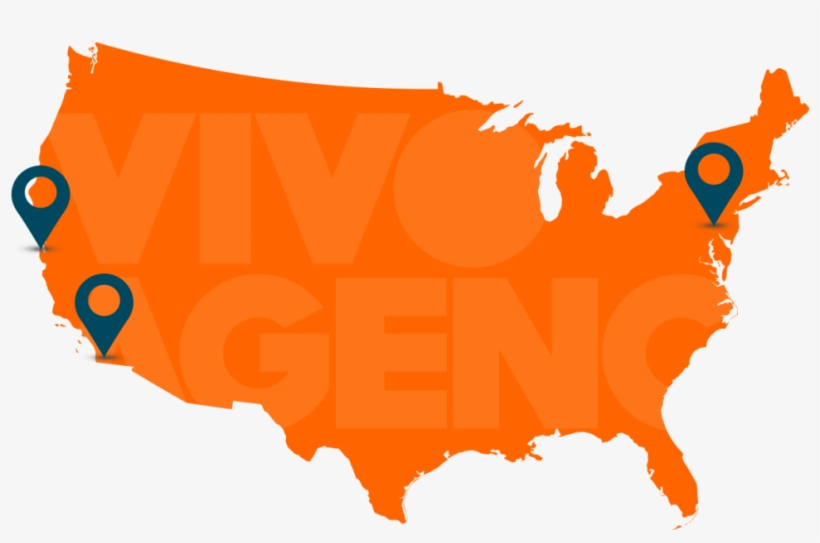 Washington State Outline Png - Y All You All Map, transparent png