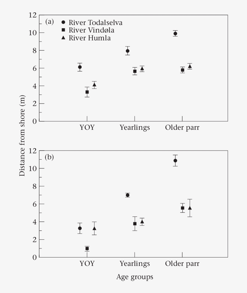 Age-specific Distance From The River Bank Kept By Salmon - Salmon, transparent png