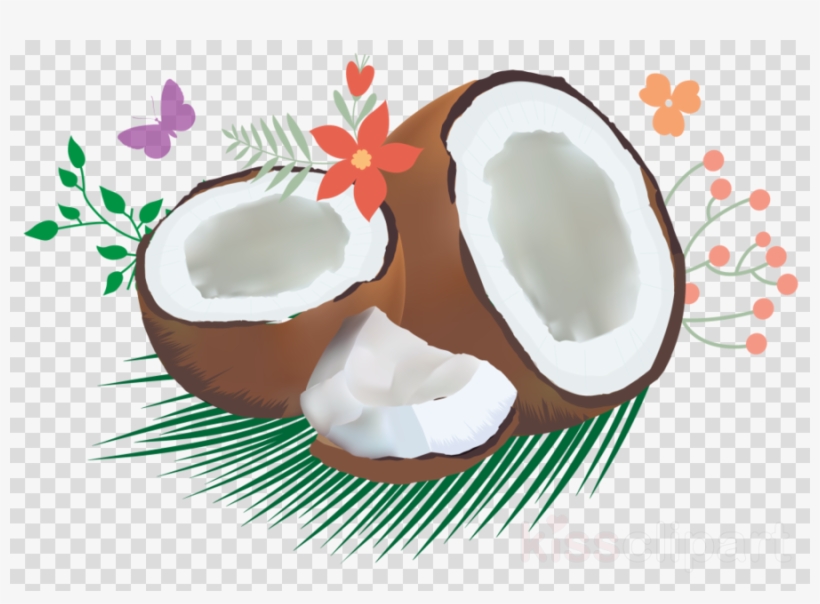 Coconut Oil Icon Png Clipart Coconut Water Clip Art - Litre, transparent png