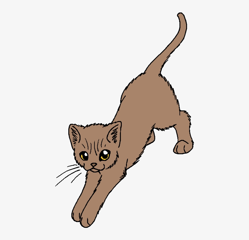 Shy Fawn - Warrior Cat Wikipedia Gray Wing, transparent png