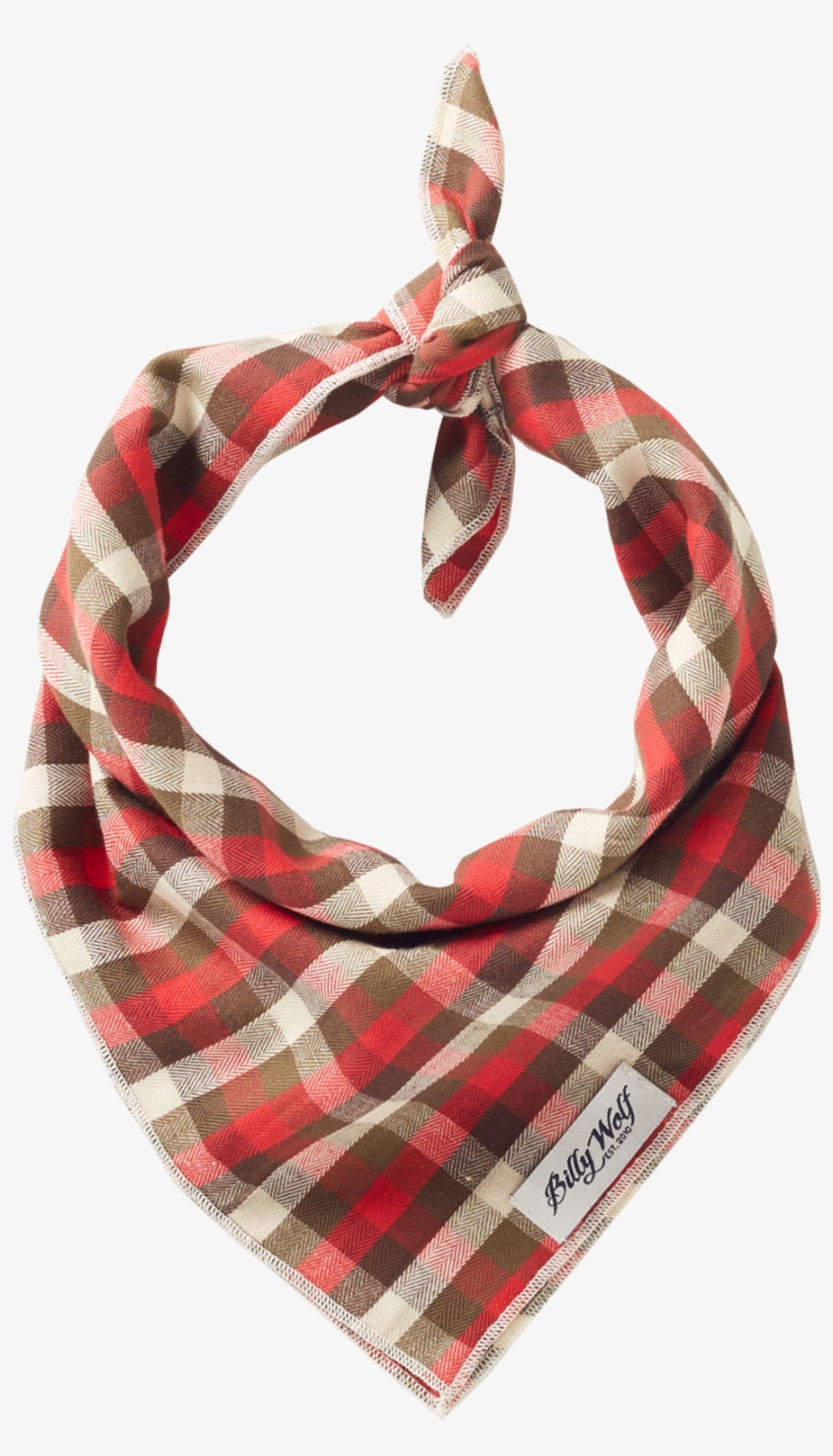 Ames Bandana Red - Billy Wolf Ames Bandana, transparent png