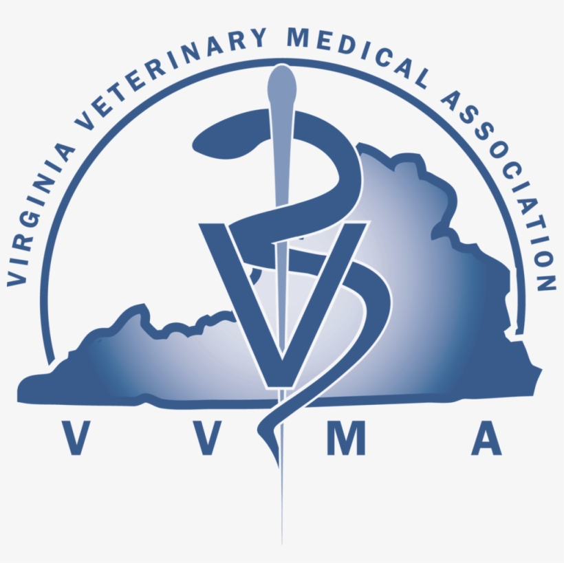 Vvma Logo Transparent Background - Printable Free Halloween Banner Boo, transparent png