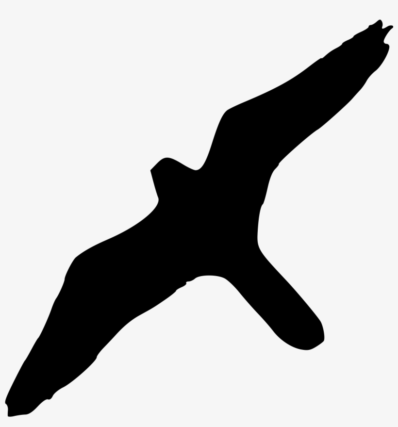 Open - Silueta De Halcon Peregrino, transparent png