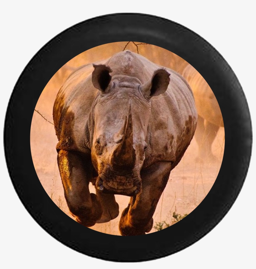 Great Big Canvas Rhino Learning To Fly Anvas Size:, transparent png
