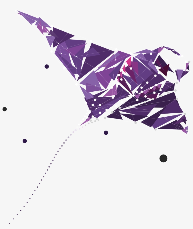 Use Any Of The Following Variations Of The Ocean Protocol - Illustration, transparent png