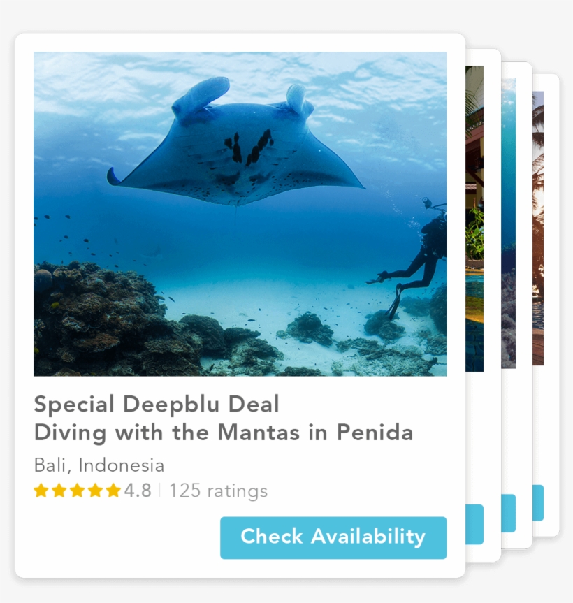 Manta Ray Png, transparent png
