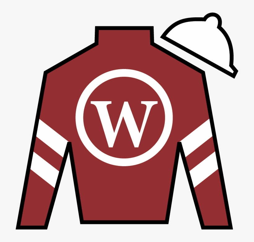 Combatant Winchell Thoroughbreds Willis Horton Racing - Winchell Thoroughbreds, transparent png