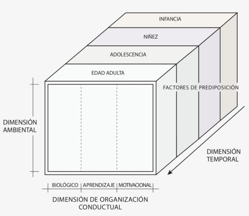Modelo Multidimensional De Formulación Clínica - Formulacion Clinica Leonidas Castro, transparent png
