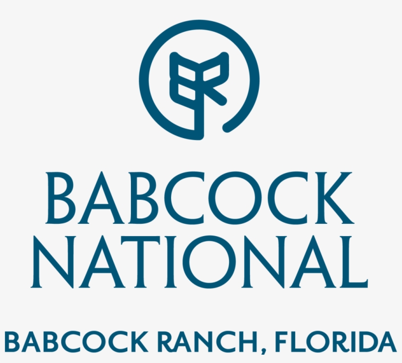 Logo Of Babcock National - June Is National Safety Month 2018, transparent png