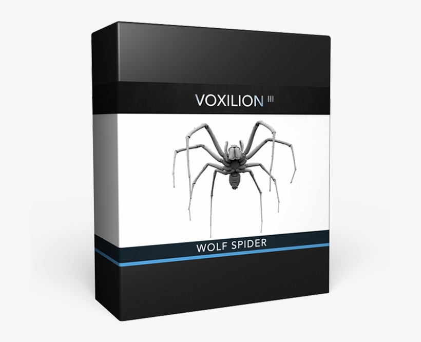 Wolf Spider - Insect, transparent png