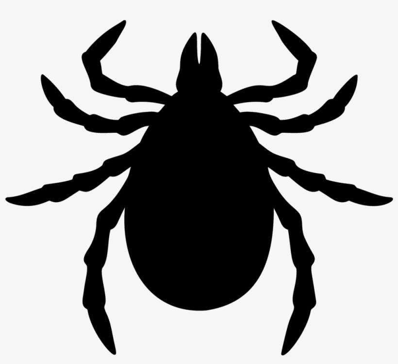 Fleas & Ticks - Ticks Cartoon, transparent png